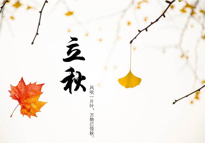 今日立秋，青島瑞普特分享立秋小知識